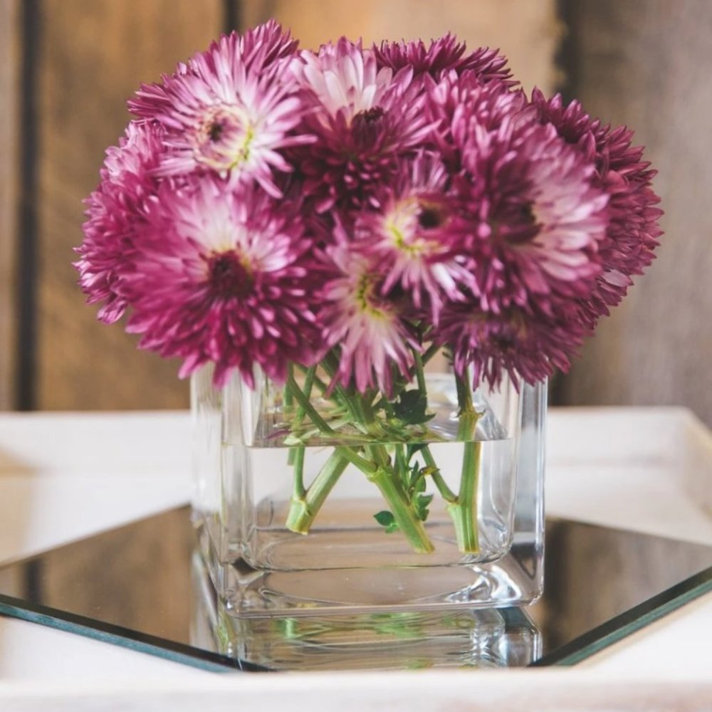 10 5" Cube vases